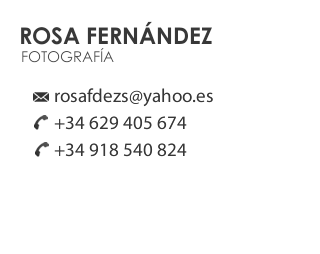 ROSA FERNANDEZ - 